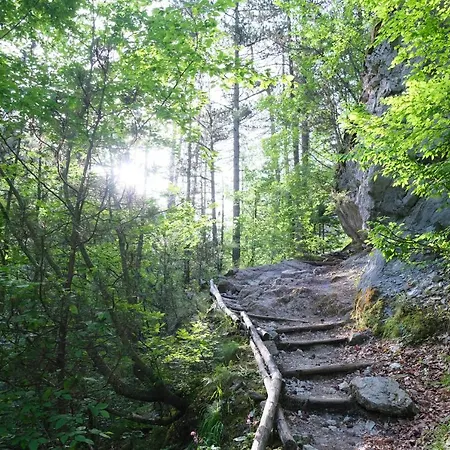 Philia - Olympus Apartman