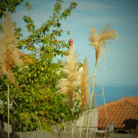 Philia - Olympus Apartman *