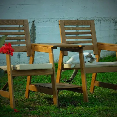 아파트 Philia - Olympus *