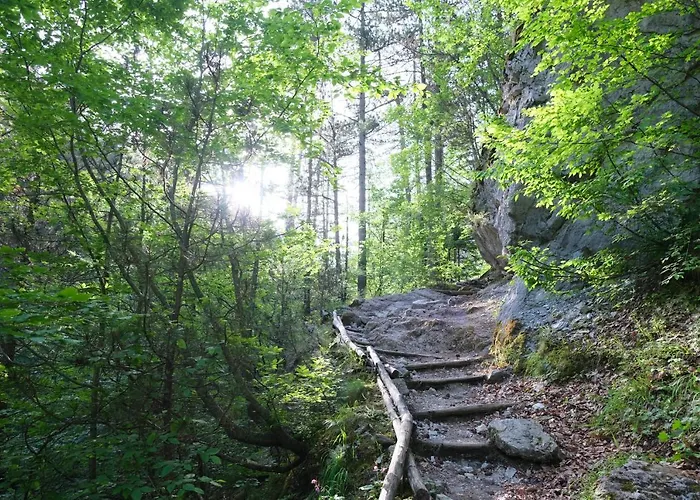 Philia - Olympus Lägenhet