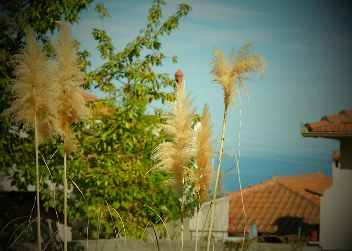 Philia - Olympus Lägenhet *